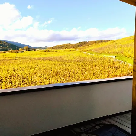 Appartement L'Horizon à Bergheim Extérieur photo